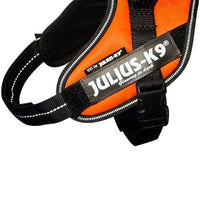Julius-K9, 16IDC-FOR-M, IDC Powerharness, dog harness, Size: Mini, UV Orange - Pet Shop Luna