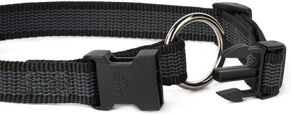 Julius-K9 collar - Pet Shop Luna