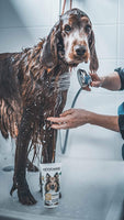 Vetocanis Detangling Long Hair Vanilla Shampoo for Dogs, 0.308 kg - Pet Shop Luna

