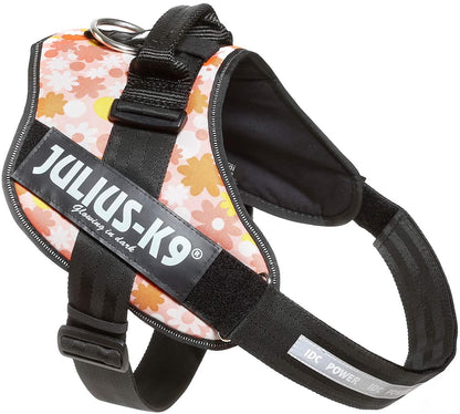 Julius-K9, 16IDC-PNF-3, IDC Powerharness, dog harness, Size: 3, Pink with flowers - Pet Shop Luna