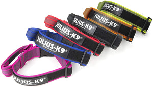 Julius-K9 Collare Color & Gray - Pet Shop Luna