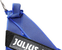 Julius-K9 IDC Color & Gray Belt Harness for Dogs - Pet Shop Luna
