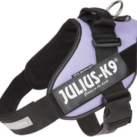 Julius-K9 IDC-Powerharness, Size 2, Purple - Pet Shop Luna