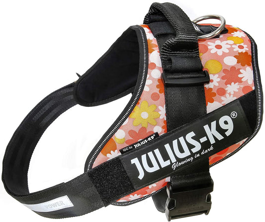 Julius-K9, 16IDC-PNF-3, IDC Powerharness, dog harness, Size: 3, Pink with flowers - Pet Shop Luna