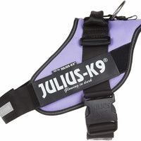 Julius-K9 IDC-Powerharness, Size 1, Purple - Pet Shop Luna