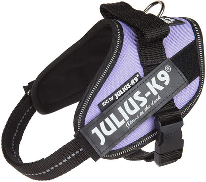 Julius-K9 Pettorina IDC Power/Powair - Pet Shop Luna