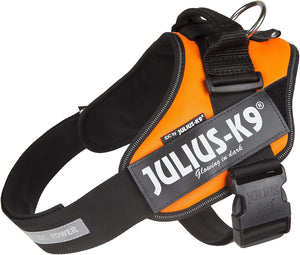 Julius-K9, 16IDC-FOR-1, IDC Powerharness, dog harness, Size: 1, UV Orange - Pet Shop Luna
