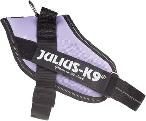 Julius-K9 IDC-Powerharness, Size Mini, Purple - Pet Shop Luna