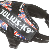Julius-K9 Pettorina IDC Power, Taglia: 2XS/Baby 2, Bandiera del Regno Unito - Pet Shop Luna