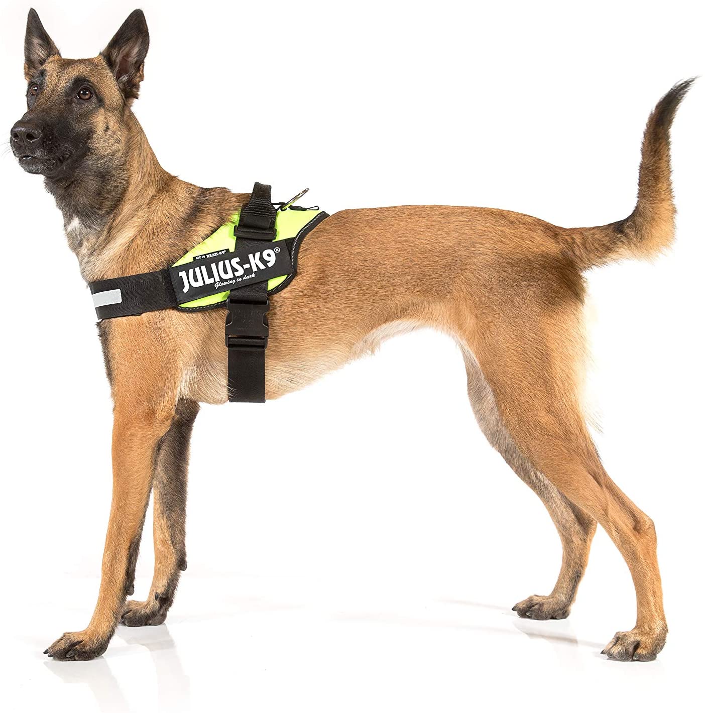 JULIUS-K9, 16IDC-NE-3, IDC-Powerharness, Size: 3, Neon Green - Pet Shop Luna