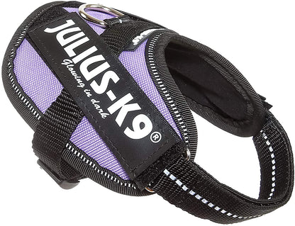 Julius-K9 IDC-Powerharness, Size Baby 2, Purple - Pet Shop Luna