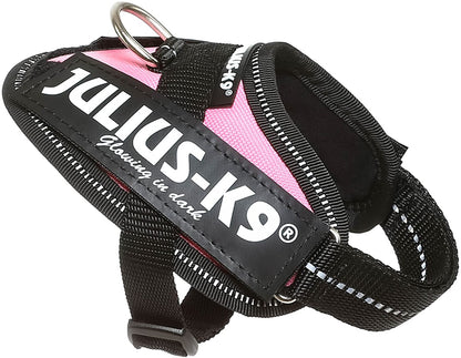 Julius-K9 IDC-Powerharness, Size Baby 1, Pink - Pet Shop Luna