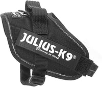 Julius-K9, 16IDC-P-MM, IDC Powerharness, dog harness, Size: XS/Mini-Mini, Black - Pet Shop Luna
