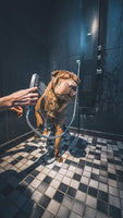 Shampoing antiodeur chien VETOCANIS - Pet Shop Luna
