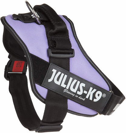 Julius-K9 IDC-Powerharness, Size 1, Purple - Pet Shop Luna