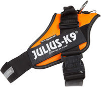 Julius-K9, 16IDC-FOR-1, IDC Powerharness, dog harness, Size: 1, UV Orange - Pet Shop Luna
