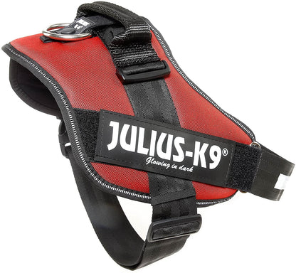 Julius-K9, 16IDC-BOR-3, IDC Powerharness, dog harness, Size: 3, Bordeaux-Brown - Pet Shop Luna