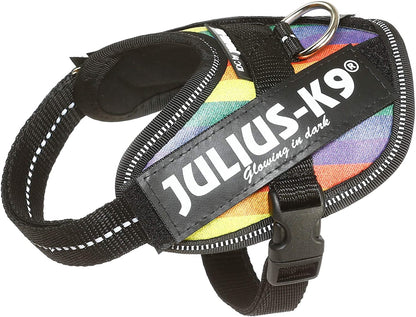 Julius-K9, 16IDC-JRBW-B2, IDC Powerharness, dog harness, Size: XL/2XS/Baby 2, Rainbow - Pet Shop Luna