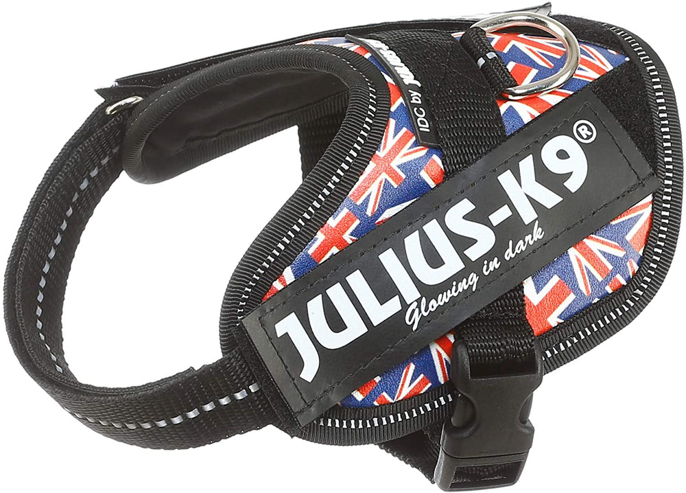 Julius-K9 Pettorina IDC Power, Taglia: 2XS/Baby 2, Bandiera del Regno Unito - Pet Shop Luna