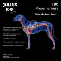 Julius-K9, 16IDC-PNF-B2, IDC Powerharness, dog harness, Size: Baby 2, Pink with flowers - Pet Shop Luna