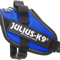 Julius-K9 Pettorina IDC Power, Taglia: XS/Mini-Mini, Blu - Pet Shop Luna