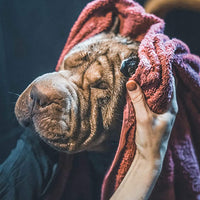 Vetocanis Shampoo Ipoallergenico - Pet Shop Luna