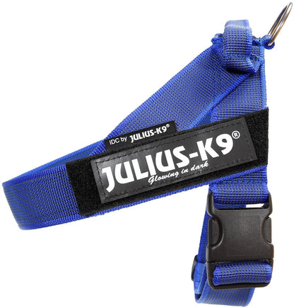 Julius-K9 IDC Color & Gray Belt Harness for Dogs - Pet Shop Luna