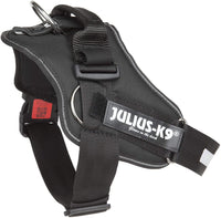 JULIUS-K9 | IDC-Powerharness with siderings | Size: 1 | Black by Julius-K9 - Pet Shop Luna
