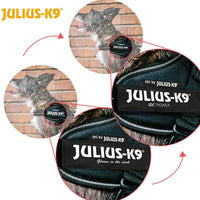 Julius-K9 Pettorina IDC Power, Taglia: 3XS/Baby 1, Rosa con Fiori - Pet Shop Luna