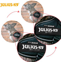 Julius-K9, 16IDC-PNF-B2, IDC Powerharness, dog harness, Size: Baby 2, Pink with flowers - Pet Shop Luna
