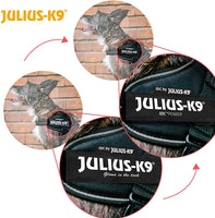 Julius-K9, 16IDC-JRBW-B2, IDC Powerharness, dog harness, Size: XL/2XS/Baby 2, Rainbow - Pet Shop Luna
