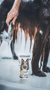 Vetocanis Detangling Long Hair Vanilla Shampoo for Dogs, 0.308 kg - Pet Shop Luna