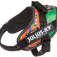 Julius-K9, 16IDC-REGGAE-M, IDC Powerharness, dog harness, Size: Mini, Reggae Canis - Pet Shop Luna