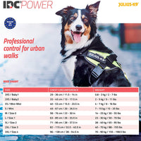 Julius-K9, 16IDC-P-MM, IDC Powerharness, dog harness, Size: XS/Mini-Mini, Black - Pet Shop Luna