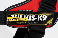 Julius-K9, 16IDC-FR-B1, IDC Powerharness, dog harness, Size: Baby 1, French colours - Pet Shop Luna
