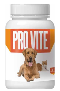 PRO VITE 50 TABLETS FOR DOGS AND CATS - Pet Shop Luna