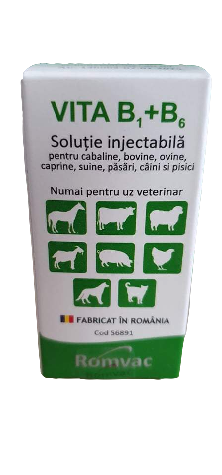 Vitamina B1+B6 2x 20ml for horses, cattle, sheep, goats, swine, pet (dogs and cats) - Pet Shop Luna