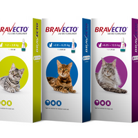 BRAVECTO® Spot-on for cats / pipetta antiparassitaria per gatti - Pet Shop Luna