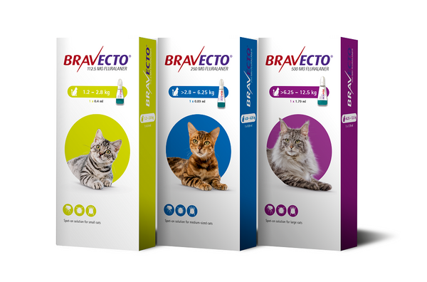 BRAVECTO® Spot-on for cats / pipetta antiparassitaria per gatti - Pet Shop Luna