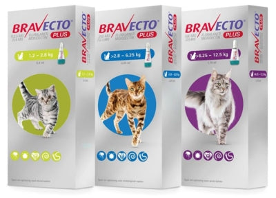 Bravecto Plus Spot On Cat Flea,tick dewormer,heartworm, heart disease > One Dose - Pet Shop Luna