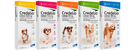 Credelio antiparasitic for dogs - 3 tablets - Pet Shop Luna