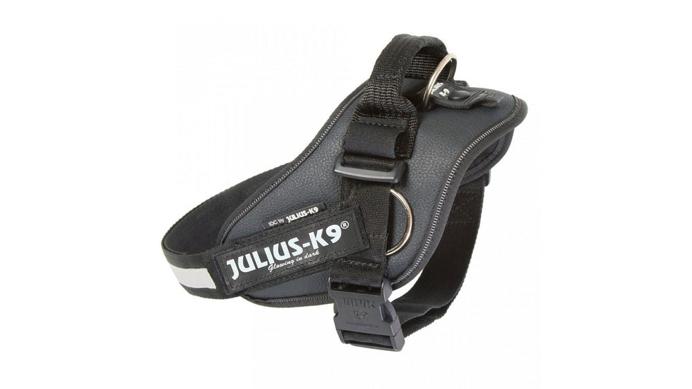 IDC Julius k9 Power Traction Harness for dogs with Side Rings, Black - Pet Shop Luna