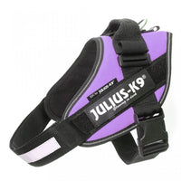 IDC Power Dog Harness Julius K9, Purple / Pettorina Julius k9 per cani - Pet Shop Luna