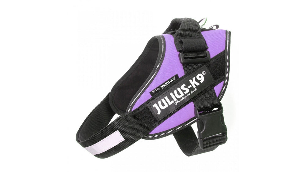IDC Power Dog Harness Julius K9, Purple / Pettorina Julius k9 per cani - Pet Shop Luna