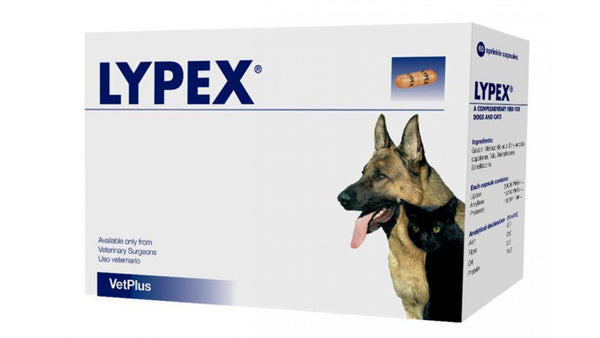 Lypex 60 tablets is a veterinary supplement containing pancreatic enzymes, developed using human technology. dogs - Pet Shop Luna