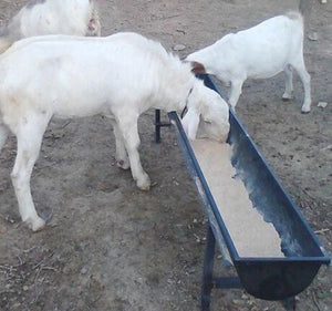LIvestock Feeder Trough drinker water for sheep goat lamb cattle, Mangiatoio Abbeveratoio per bovini ovini caprini suini cavalli 10pcs / 10 pezzi - Pet Shop Luna