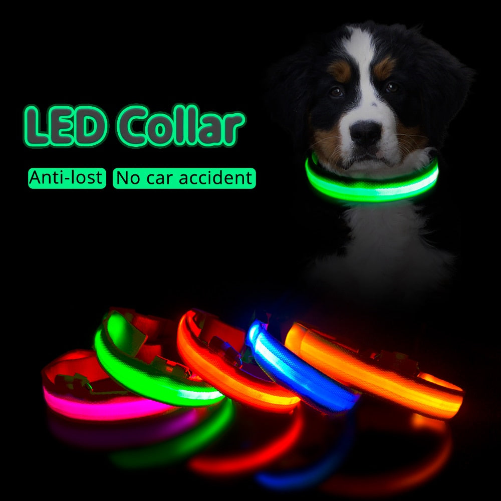 Collar for dogs USB Charging Led Anti-Lost/Avoid Car Accident / Collare per cani illuminato - Pet Shop Luna