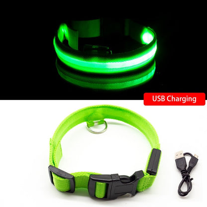 Collar for dogs USB Charging Led Anti-Lost/Avoid Car Accident / Collare per cani illuminato - Pet Shop Luna