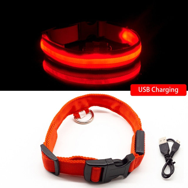 Collar for dogs USB Charging Led Anti-Lost/Avoid Car Accident / Collare per cani illuminato - Pet Shop Luna