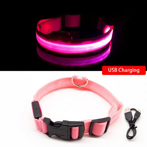 Collar for dogs USB Charging Led Anti-Lost/Avoid Car Accident / Collare per cani illuminato - Pet Shop Luna